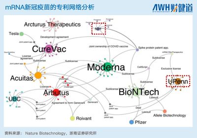 中國本土mRNA技術 差距、突破與未來之路