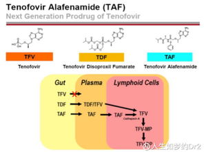 人生如夢的DR2 吉利德為何為HIV新藥動(dòng)用第二張?zhí)靸r(jià)優(yōu)先審評(píng)券？