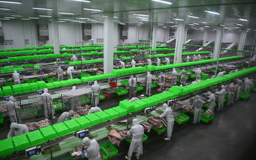 內(nèi)鄉(xiāng)牧原食品城正式投入運(yùn)行 一期投資5億元，年屠宰加工200萬頭生豬，推動(dòng)生物技術(shù)開發(fā)